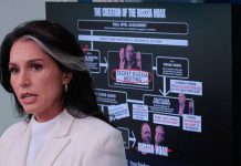 National Intelligence Tulsi Gabbard