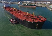 Once an Arab oil embargo victim, US becomes world’s top oil exporter US top oil exporter
