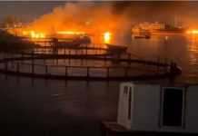 Iran Attacks Bahrain, Kuwait and Qatar After Fresh U.S. Airstrikes on Bandar Abbas Iran Bahrain Kuwait Qatar
