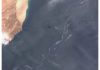 Oman Oil Spill Reaches Mainland Beaches, Threatening Marine Ecosystem Oman oil spill