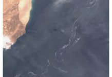 Oman Oil Spill Reaches Mainland Beaches, Threatening Marine Ecosystem Oman oil spill