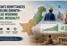 The Dark Side Of Remittances remittances